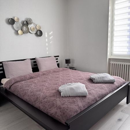 Appartement Des 3 Pays. 2 Mn De Bale+ Free Parking Saint-Louis  Eksteriør billede