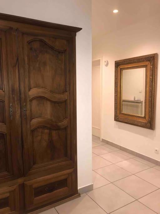 Appartement Des 3 Pays. 2 Mn De Bale+ Free Parking Saint-Louis  Eksteriør billede