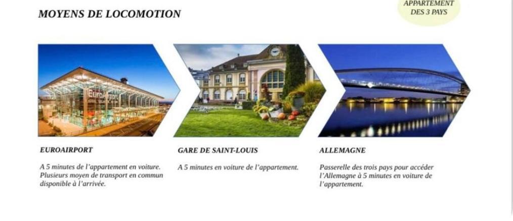 Appartement Des 3 Pays. 2 Mn De Bale+ Free Parking Saint-Louis  Eksteriør billede
