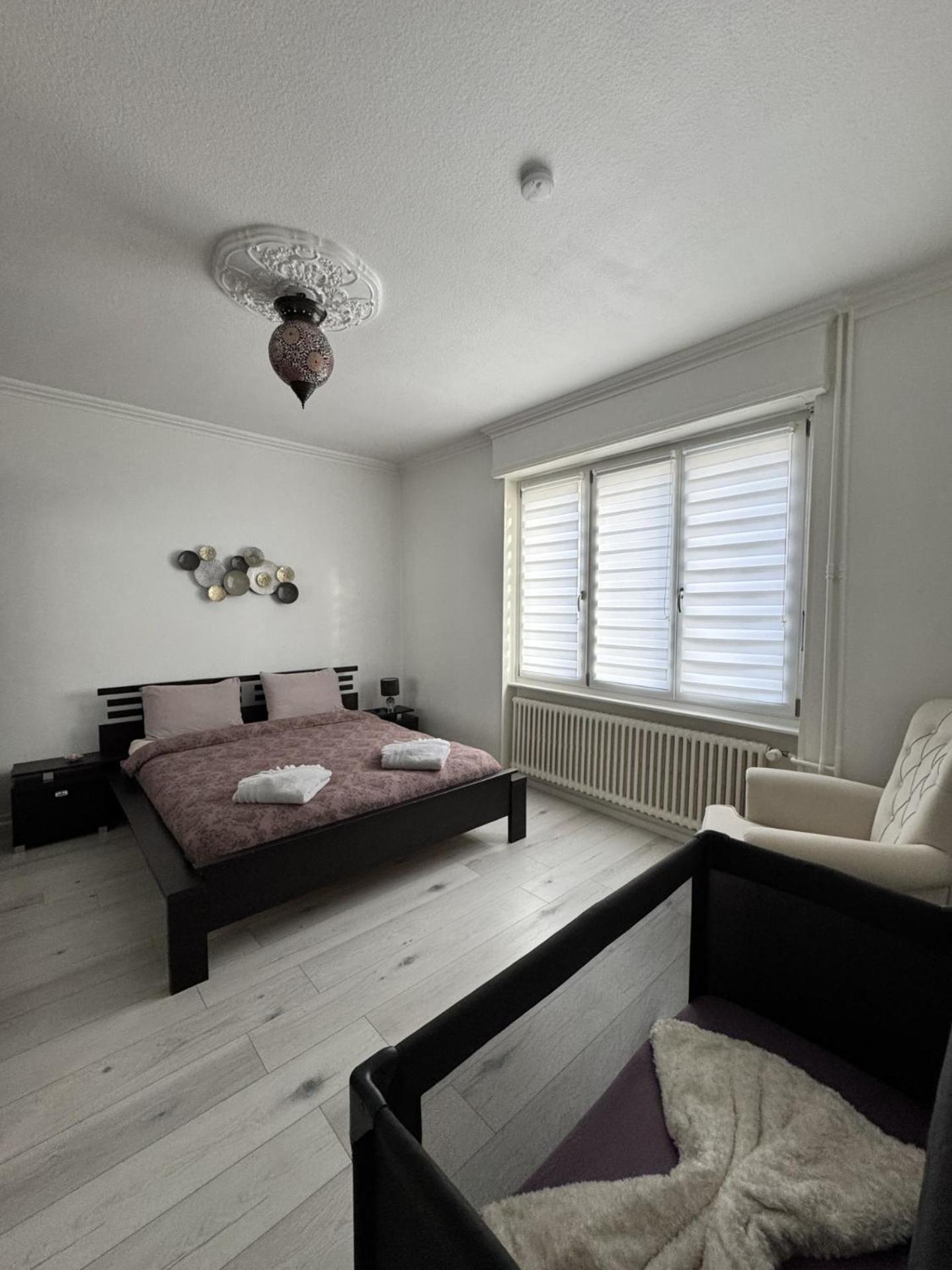 Appartement Des 3 Pays. 2 Mn De Bale+ Free Parking Saint-Louis  Eksteriør billede